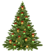 Christmas tree 1808558 640