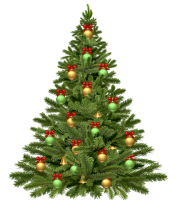 Christmas tree 1808558 640