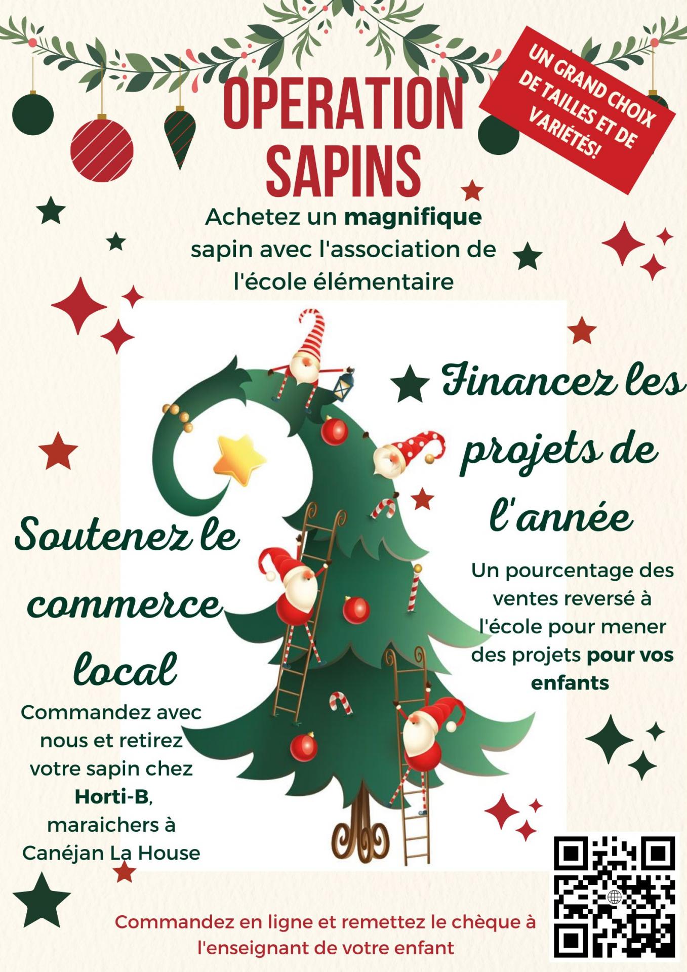 Operation sapins